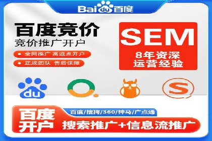 专业SEM服务公司案例分析报告